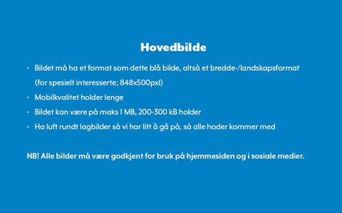 Tittelen består av ca 30 tegn