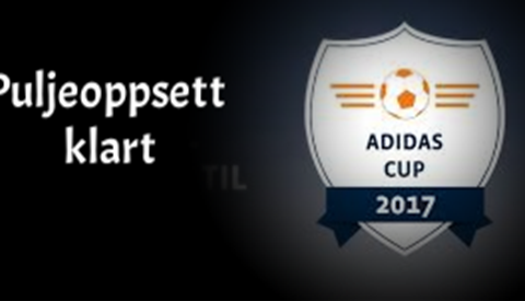 Adidas Cup 2017