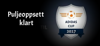 Adidas Cup 2017