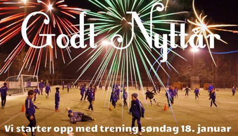 Godt Nyttår !