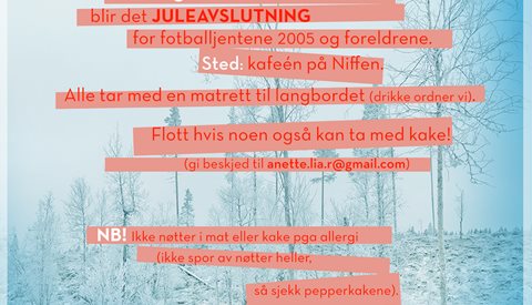 Juleavslutning på Niffen 2. desember