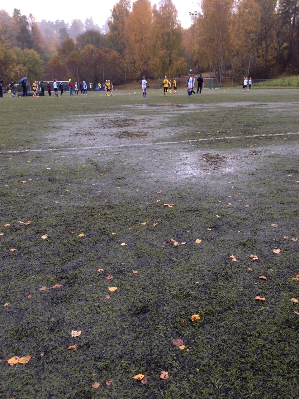 Nordstand Cup