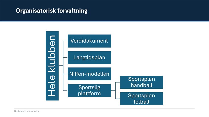 organisatorisk-forvaltning