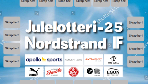 Ekstra aktivitetsavgift og julelotteri