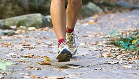 Ekeberghallen stengt for trening 