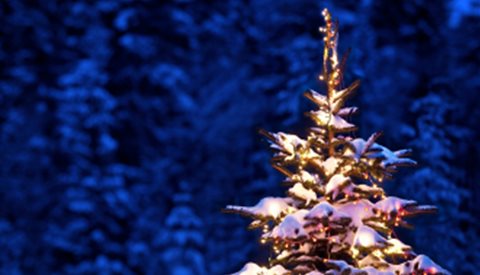 God jul alle sammen