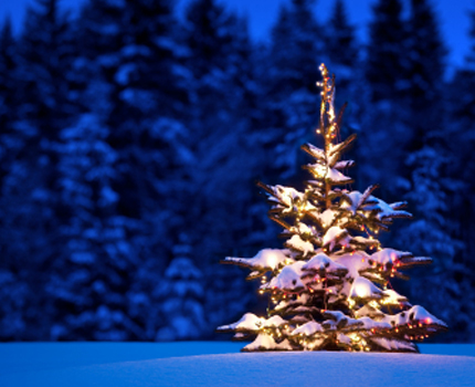 God jul alle sammen