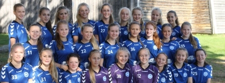 Lagene og kampene i Hummel Cup