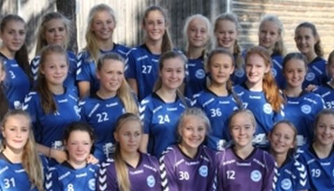 Lagene og kampene i Hummel Cup