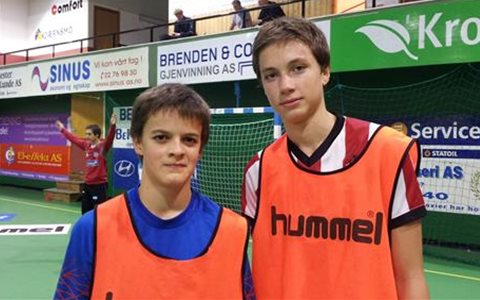 Uttak til regional samling