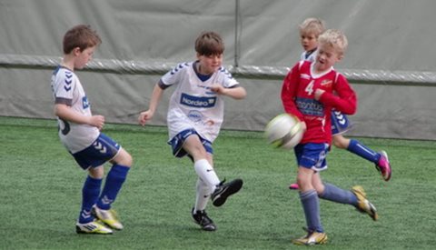 Hafslund Cupen 2013