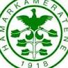HamKam Talentcup