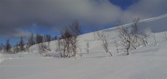 Treningstider i vinter